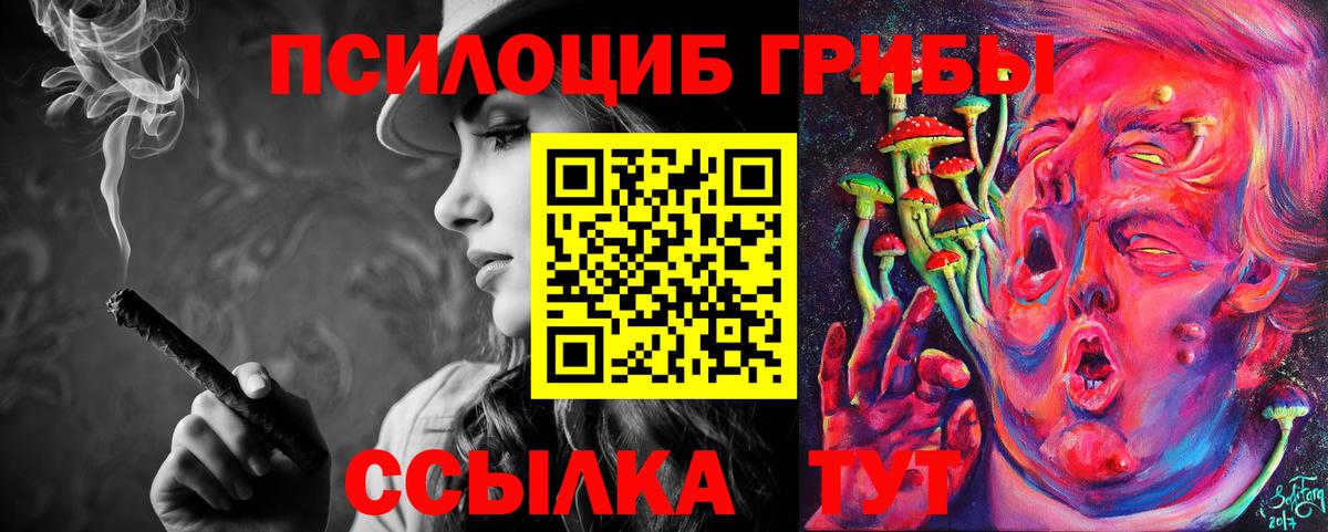 Асино  Галлюциногенные грибы Cubensis  купить  сайты  Вход с VPN 